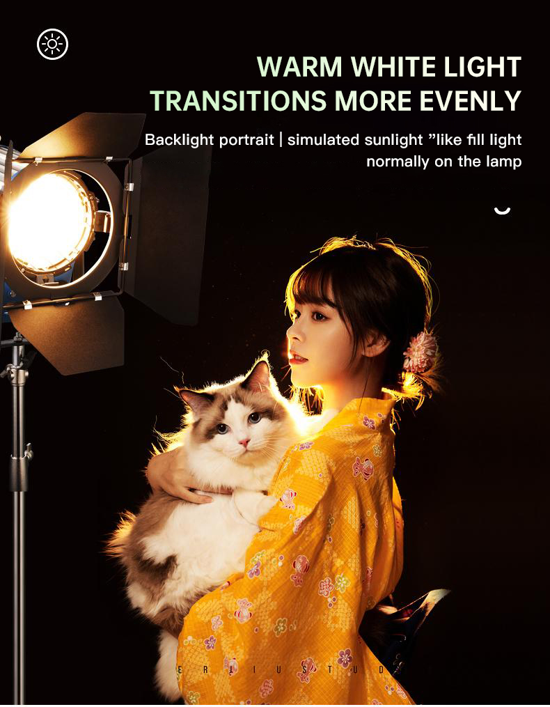 ไฟสปอตไลท์ Beiyang 2000W สำหรั - Photography Lighting For Portraits บทวิจารณ์และราคา